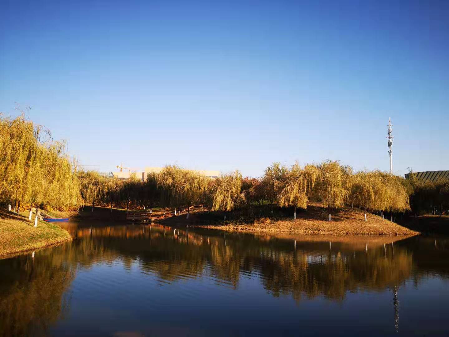 微信圖片_20191030150921.jpg
